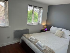 Beautiful View Apartment Near Canary Wharf