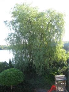 Ferienwohnungen am Dreiländersee - zertifiziert - Annemarie Mantke