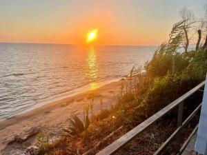 The Oaks Outdoor Living