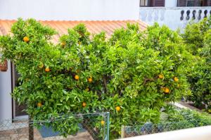 Casa do Lagar - beautiful townhouse near Algarve beaches