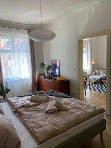Apartmán v srdci Tábora