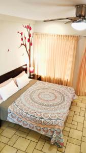 Studio in the heart of Cabo San Lucas