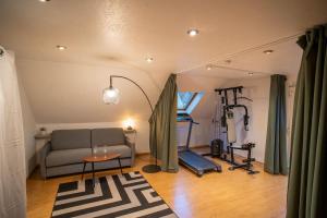 Bollwiller Modern Loft with Pool and Gym