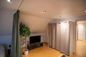 Bollwiller Modern Loft with Pool and Gym