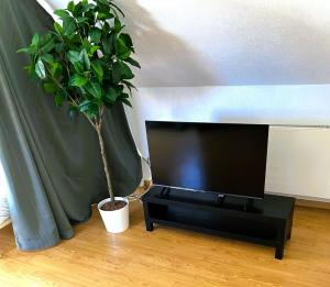 Bollwiller Modern Loft with Pool and Gym