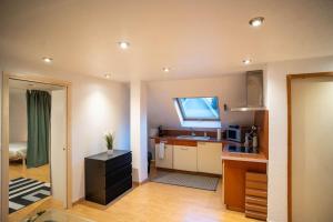 Bollwiller Modern Loft with Pool and Gym