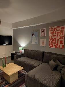 The elegant urban apartment