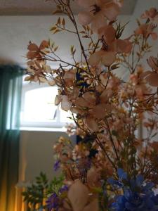 Hostel Bertha-Marie Atlantis Apartment