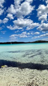 Davide's escape img12