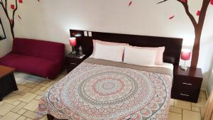 Studio in the heart of Cabo San Lucas