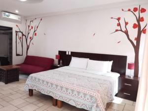 Studio in the heart of Cabo San Lucas