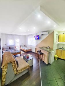 Vila Aleksandra 1 Sokobanja