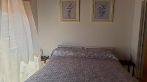 Carballo de Cereixo - Solo con seña