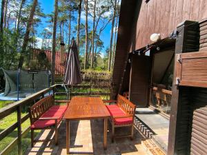 Cozy hut in the pine forest