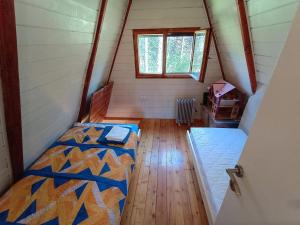 Cozy hut in the pine forest