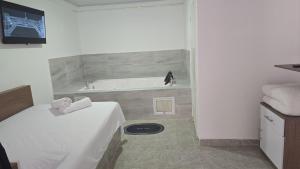 Hotel Valle del Café - Habitación con Jacuzzi 5