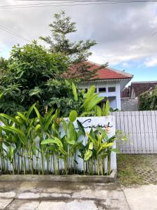 Kosasih 1919 A Dutch-Retro House - 4hvězdičkové hotely ve městě Banyuwangi