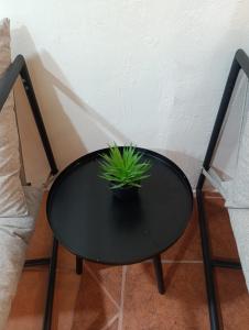Suite Alebrije