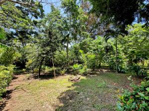 Alby Lodge Cahuita
