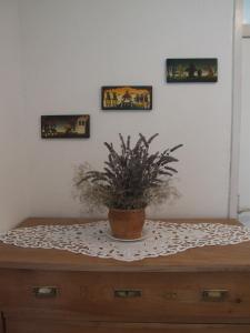 Apartment Mlinarjeva domačija