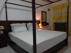 Rainforest River Edge