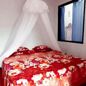 Explore Sumatras WONDERS