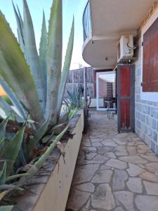 Apartment Bigovo