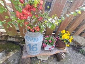 Przytulia Apartament Drewniany