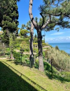 Fiesa-Piran beach house with free parking 