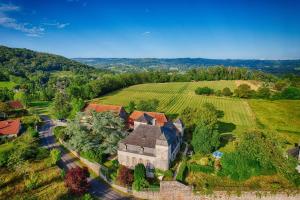 Superbe gîte avec vue sur les vignes, dans le parc dun manoir du 18ème siècle