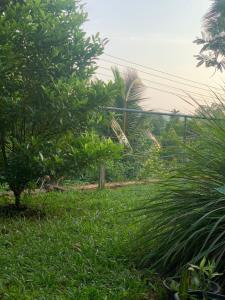 Villa Ayaavi Weligama