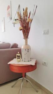 Vani Apartment