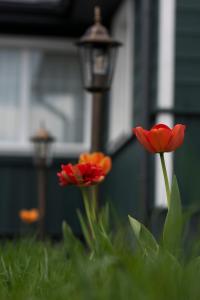 Stara Stolarnia Noclegi