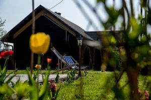 Stara Stolarnia Noclegi