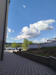 Srebrno srce