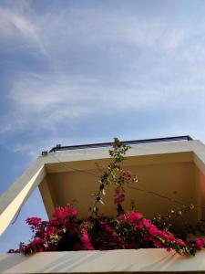 Meraki Living Luxury Homestay, Mukteshwar