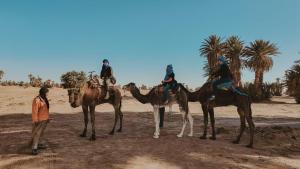 Sahara pathfinders