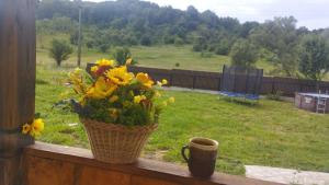 PRIDVOR de STOENESTI