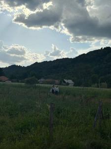 PRIDVOR de STOENESTI