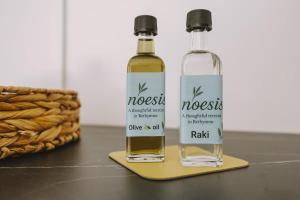 Noesis coastal studio