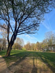 Modern apartment in Nuremberg
