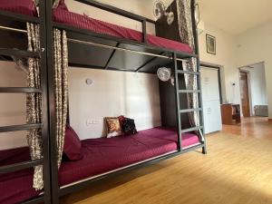 Green Backpackers Hostel and Homestay