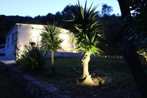 casetta Ludo&Fili img48