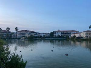 2P jardin Sud vue Lac avec piscine tennis parking privé