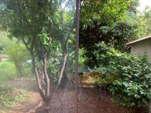 Maisons de vacances T2 en rez-de-jardin en plein coeur de la Londe les Maures : photos des chambres