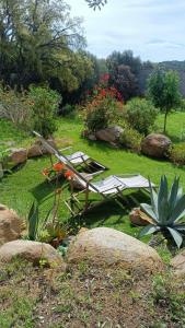 Appartements U caseddu di Monacia : photos des chambres