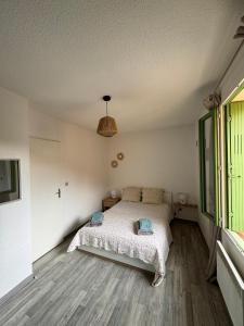 Appartements Maison individuelle plein coeur d-Argeles sur Mer : photos des chambres