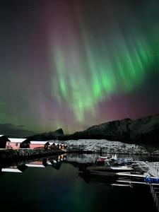 Fjordcamp