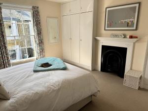 Gulls, charming seaside cottage, centrally located