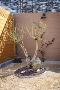 Maisons de vacances La Maison D-Ambre - Jacuzzi - Sauna- Clim : photos des chambres